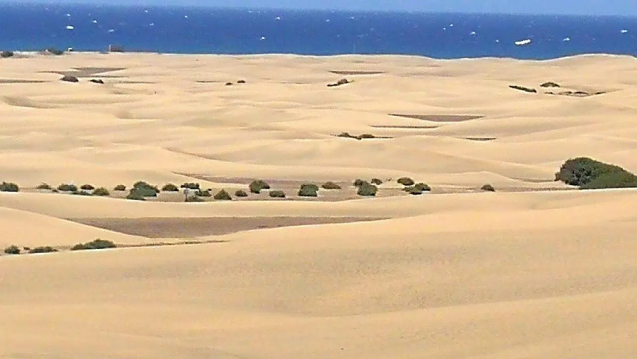 Top1 Green Sea Bungalow Jardin Lägenhet Maspalomas